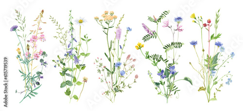 Fototapeta Naklejka Na Ścianę i Meble -  Watercolor wildflowers bouquets set. Delicate meadow herbs arrangements. Easy to use in your design projects