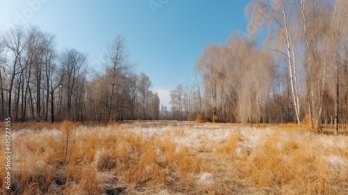 Glade with dry yellow grass in the forest. Birch grove forest. Generative AI.