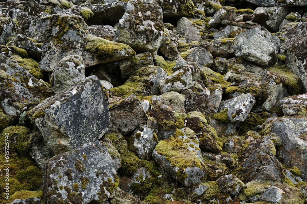 Texture of stones covered by moss
