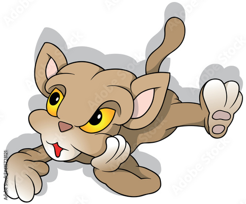 Kitty with Yellow Eyes and a Propped Head Lies on the Ground