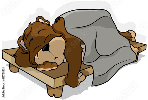 Brown Forest Bear Sleeping ...