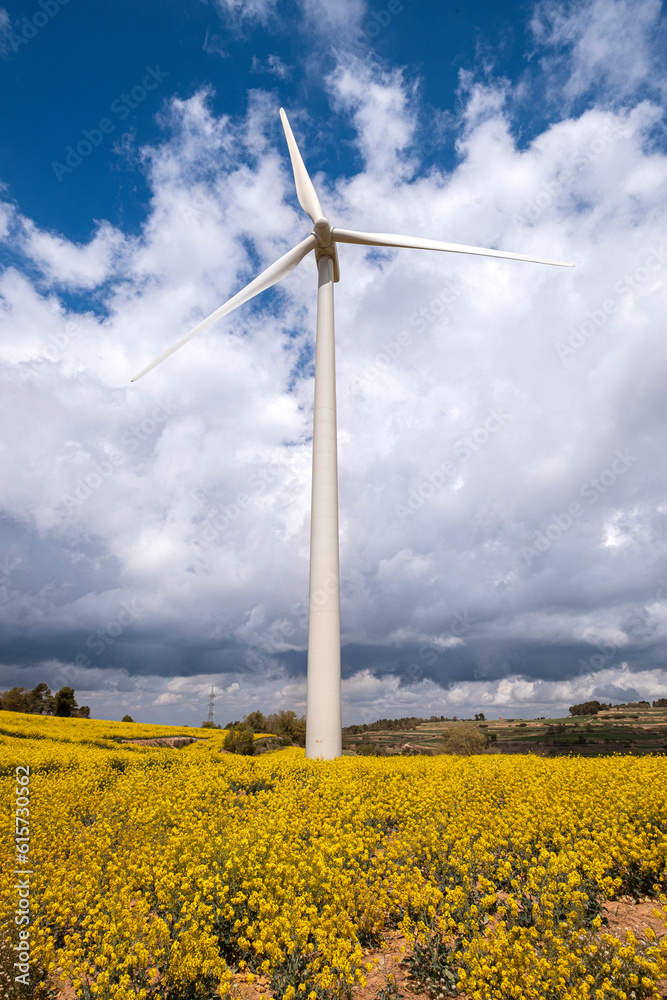 Wind turbines between agricultural fields with rapeseed plantations on the hills of the province of Tarragona in Spain Wind turbines between agricultural fields with rapeseed plantations on the hills of the province of Tarragona in Spain