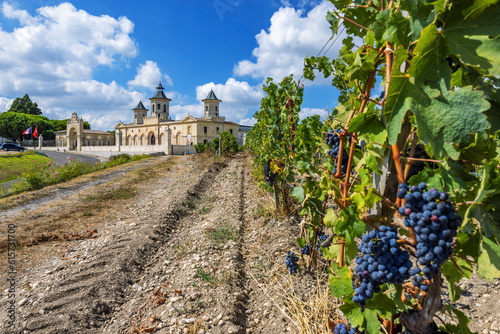 Tableau sur toile Vineyards with Chateau Cos d'Estournel, Bordeaux, Aquitaine, France