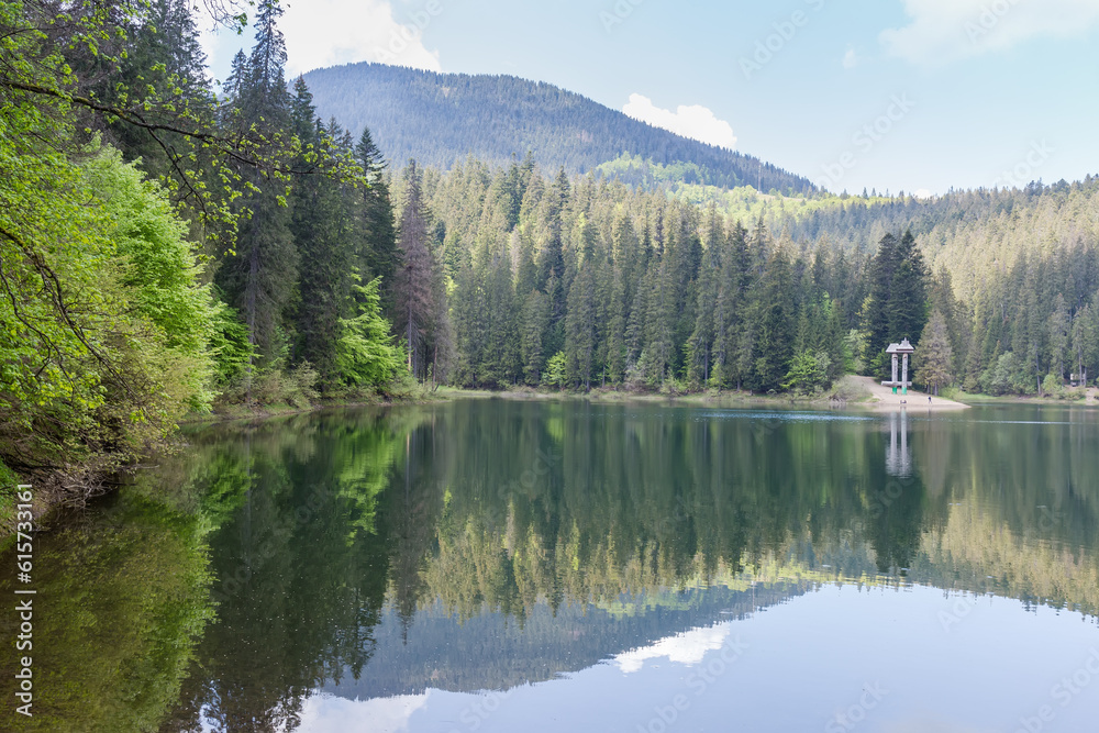 Mountain lake with forest on the shores in spring morning