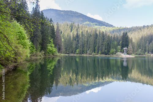 Mountain lake with forest on the shores in spring morning