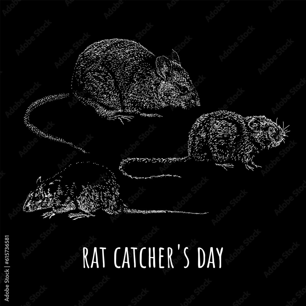Rat Catcher's Day hand drawing vector isolated on black background