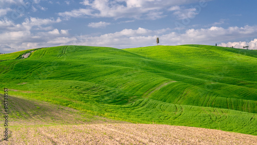 hills of val d'orcin, pienza, siena, Tuscany, Italy © emiliano