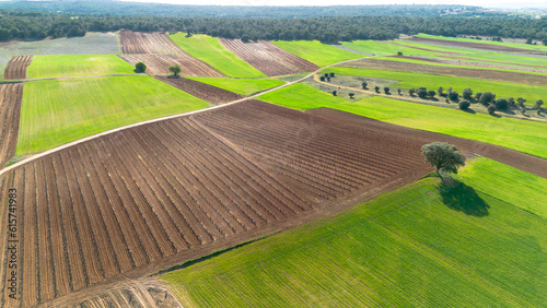Aerial view of vineyards in early spring in the province of Valladolid in the Ribera del Duero appellation of origin area in Spain