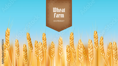 Rustic vector illustration of a golden wheat field perfect for agriculture, farming, and countryside scenes. farmer harvesting ripe cereal crops with a retro stamp label. Ideal for bakery