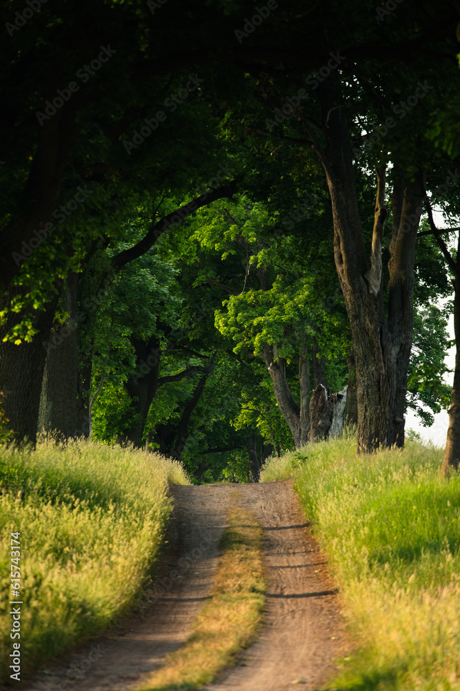 Obraz premium Kaszuby