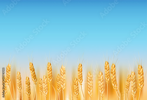 Golden wheat field in the Ukrainian countryside. Ideal for agriculture, farming, and nature themed designs. Illustration of ripe cereal crops under a blue sky. Realistic drawing with organic farming