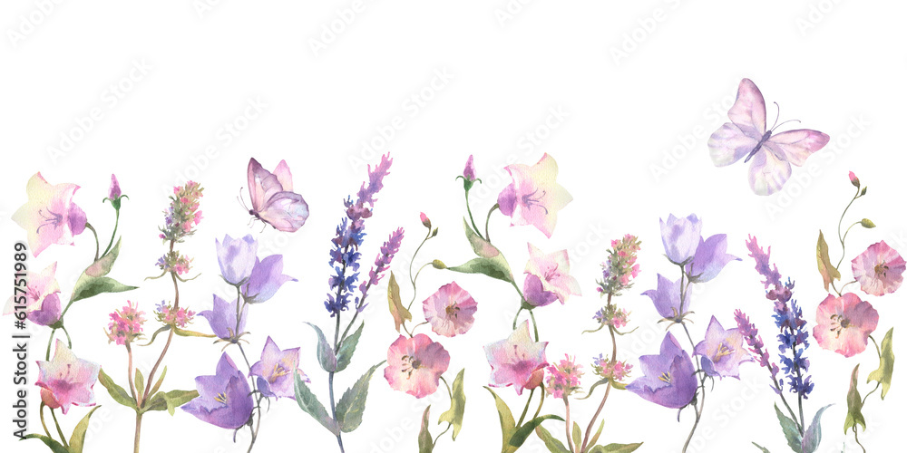 Seamless border with Herbs and wild flowers, leaves, butterflies. Botanical Illustration on white background. Template with place for text.