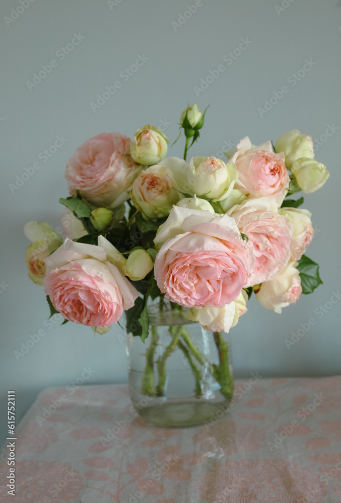 Obraz premium Rose variety Pierre de Ronsard