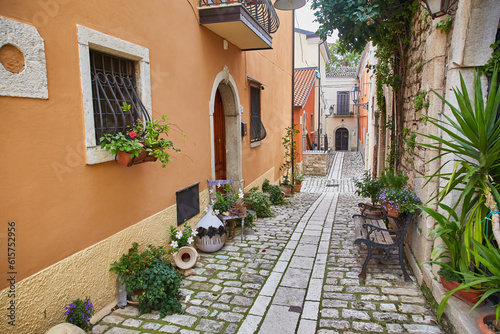 street among the characteristic houses of Buonalbergo, a village in the mountains in the province of Benevento