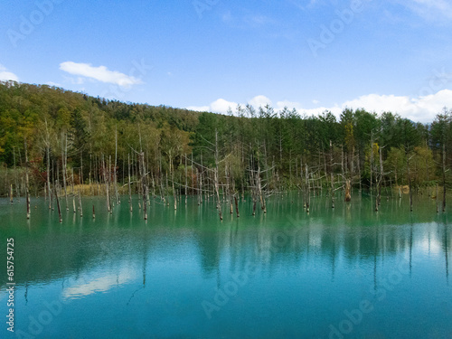 青空の白金青い池