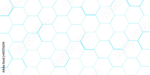 Hexagonal cells white and skyblue background Seamless wooden wall with  pattern ,in the photo decorative finishing tiles for the sidewalk