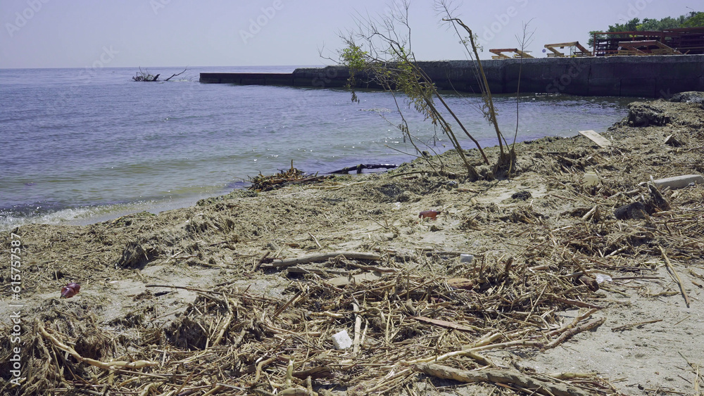 Trees with floating debris has reached Black Sea coastal zone in Odessa, Ukraine. Environmental disaster caused by the explosion of Kakhovka Hydroelectric Power Plant dam Trees with floating debris has reached Black Sea coastal zone in Odessa, Ukraine. Environmental disaster caused by the explosion of Kakhovka Hydroelectric Power Plant dam