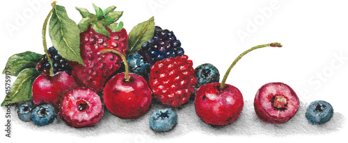 Fototapeta Naklejka Na Ścianę i Meble -  Watercolor Forest Fruit with a Painted Shadow on a Transparent Background, Cherries Art, Blackberries, Strawberries, Blueberries, Raspberries, Red Fruit Art, Fruits Clipart