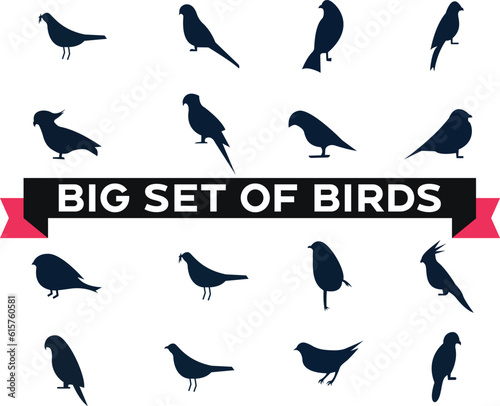 Birds silhouettes and new birds icon designs
