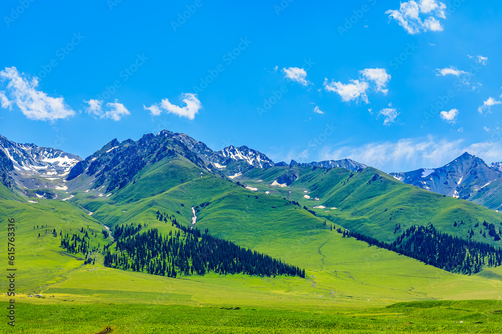 Green grassland and mountain natural landscape in Xinjiang, China.