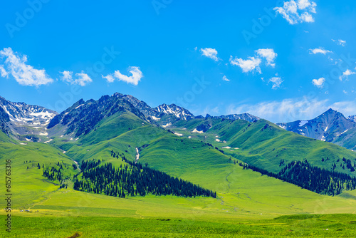 Green grassland and mountain natural landscape in Xinjiang, China. © ABCDstock