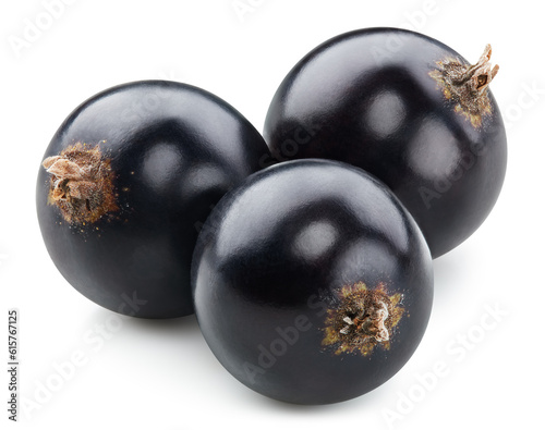 Black currant isolated