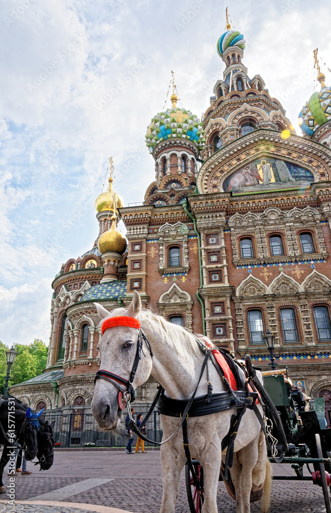 Fototapeta premium Church of our Savior on the Spilled Blood in Saint Petersburg - Russia