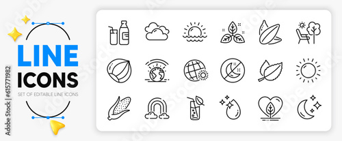 Mint leaves, World weather and Hazelnut line icons set for app include Moon, Deckchair, Rainbow outline thin icon. Sunflower seed, Sunny weather, Water glass pictogram icon. Fair trade. Vector