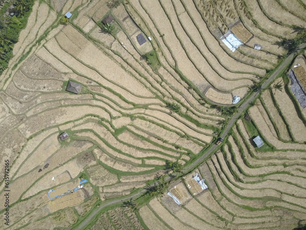 Jatiluwih rice fields, Bali, Indonesia. Aerial view. Jatiluwih rice fields, Bali, Indonesia. Aerial view.