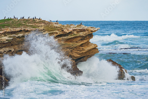 Big waves crashing against a rocky coastline below a flock of perched seabirds photo