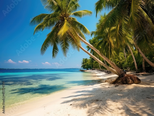 Sunny exotic beach by the ocean with palm trees