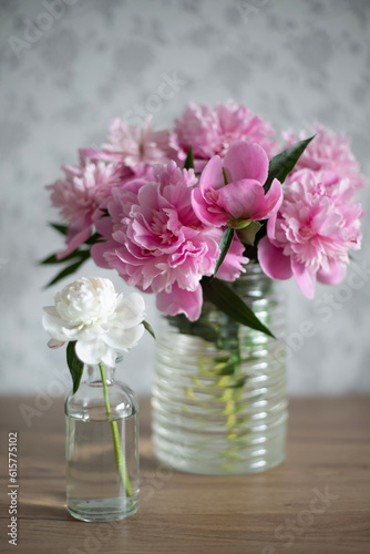 Pink delicate peony flowers on a light background