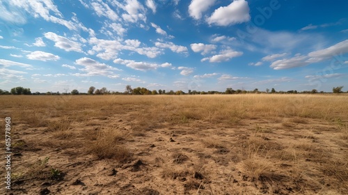 Dry grass field landscape background.  Generative AI technology.	

