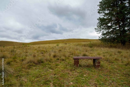 Tranquil Grassland Landscape with Seat Under Vast Sky.