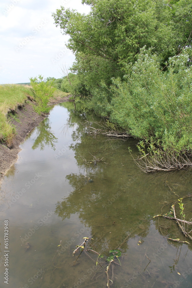 A river with trees and grass A river with trees and grass