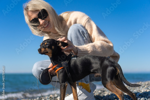 Young blonde woman smiles and strokes her friend's dog, a black and tan Russian Toy Terrier, on the seashore on a walk on a sunny day