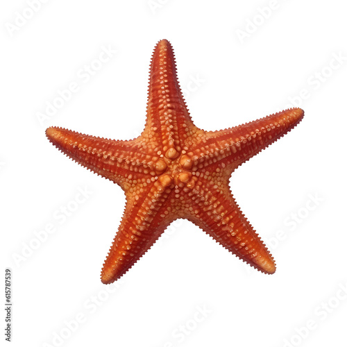 Starfish or sea star isolated on white background with clipping path. Full Depth of field. Focus stacking. PNG. Generative AI