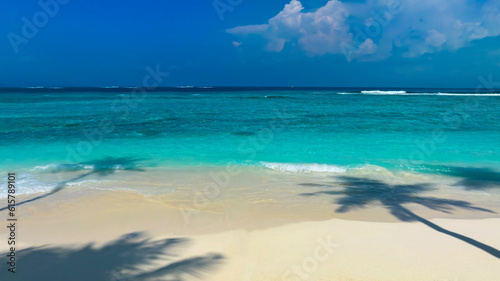 Summer palm tree  and Tropical sand  beach with blue  sky background