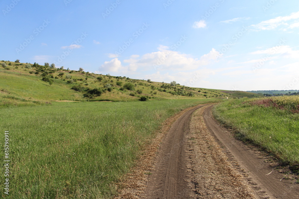 A dirt road through a grassy field A dirt road through a grassy field