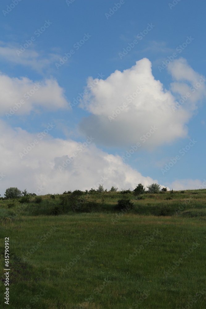 A grassy field with trees and blue sky