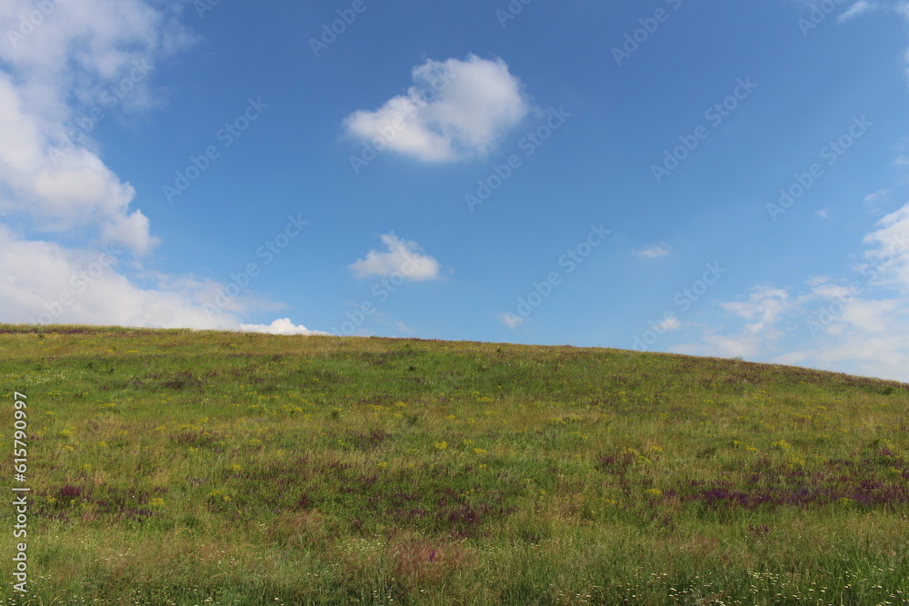 Fototapeta premium A grassy field with blue sky and clouds