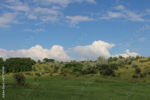 A grassy field with trees and blue sky