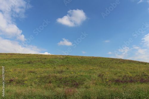 Fototapeta Naklejka Na Ścianę i Meble -  A grassy field with blue sky and clouds