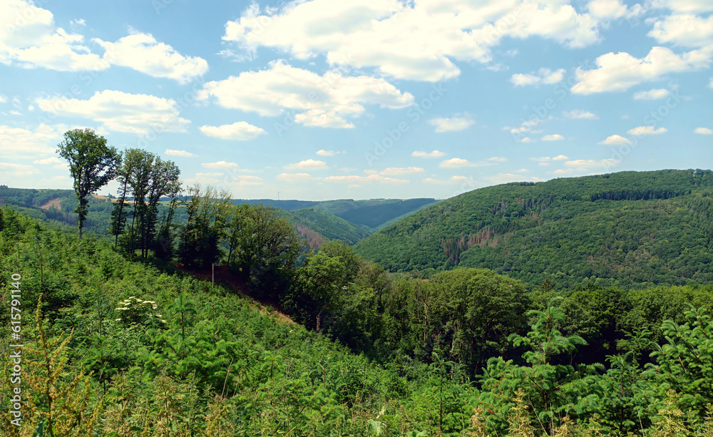 Blick auf  Landschaft mit Hügeln und Wald in der Nähe von Dirbach in der Gemeinde Bourscheid im Norden von Luxemburg in den luxemburgischen Ardennen auf dem Wanderweg Escapardenne Lee Trail.