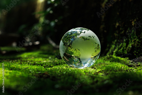The globe crystal orb rests on the moss in the forest. There is sunshine. Sustainable concept  ecology and environment.