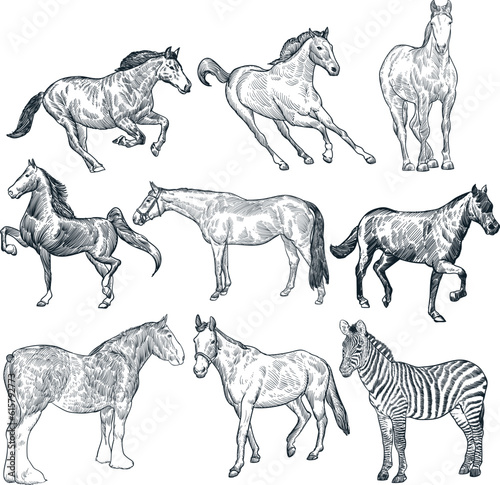 Vintage hand drawn sketch 9 set of horses 