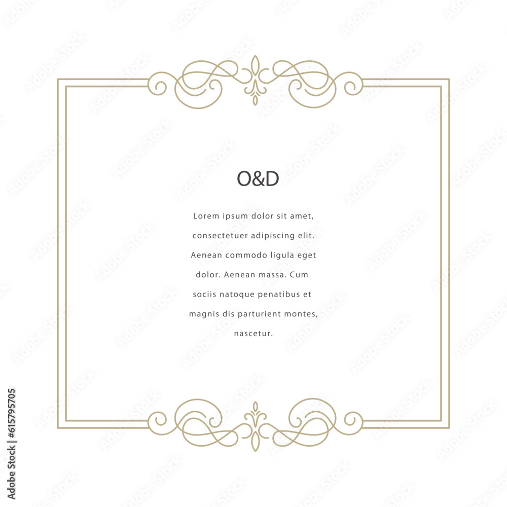 Decorative vector frame. Elegant element for design template, place for text. Floral border.