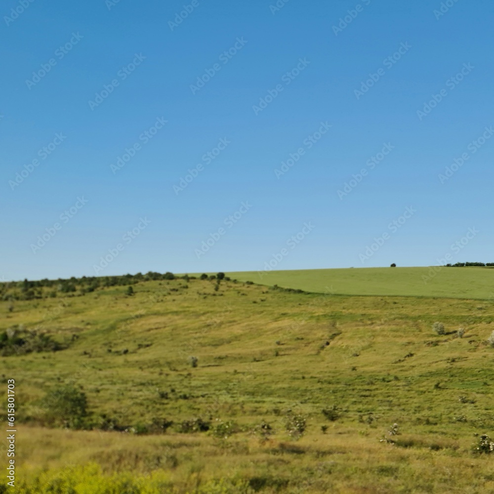 A grassy field with blue sky