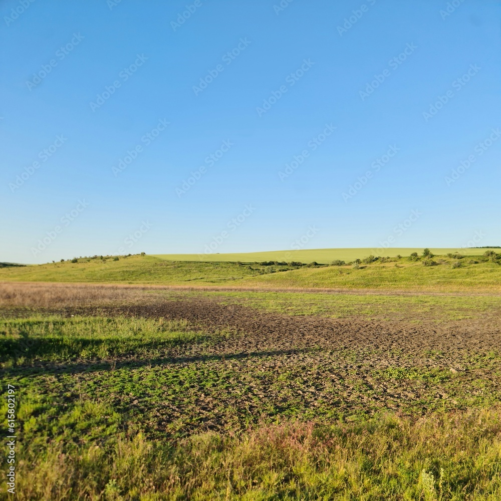 A field with grass and blue sky