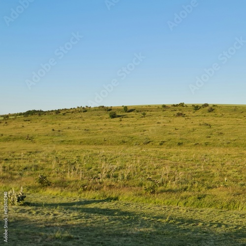 Fototapeta Naklejka Na Ścianę i Meble -  A grassy field with a blue sky